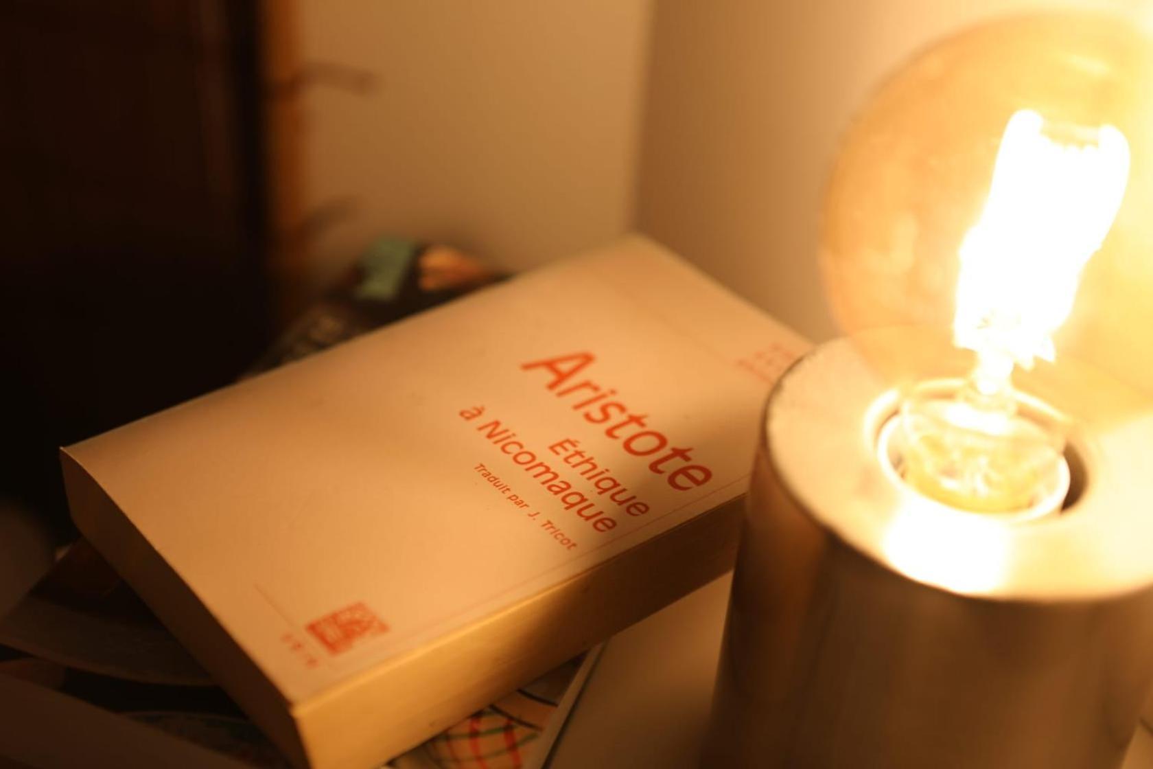 Apartment Le Nid 3 Etoiles Wifi, Netflix, Disney, Coeur De Bastide *